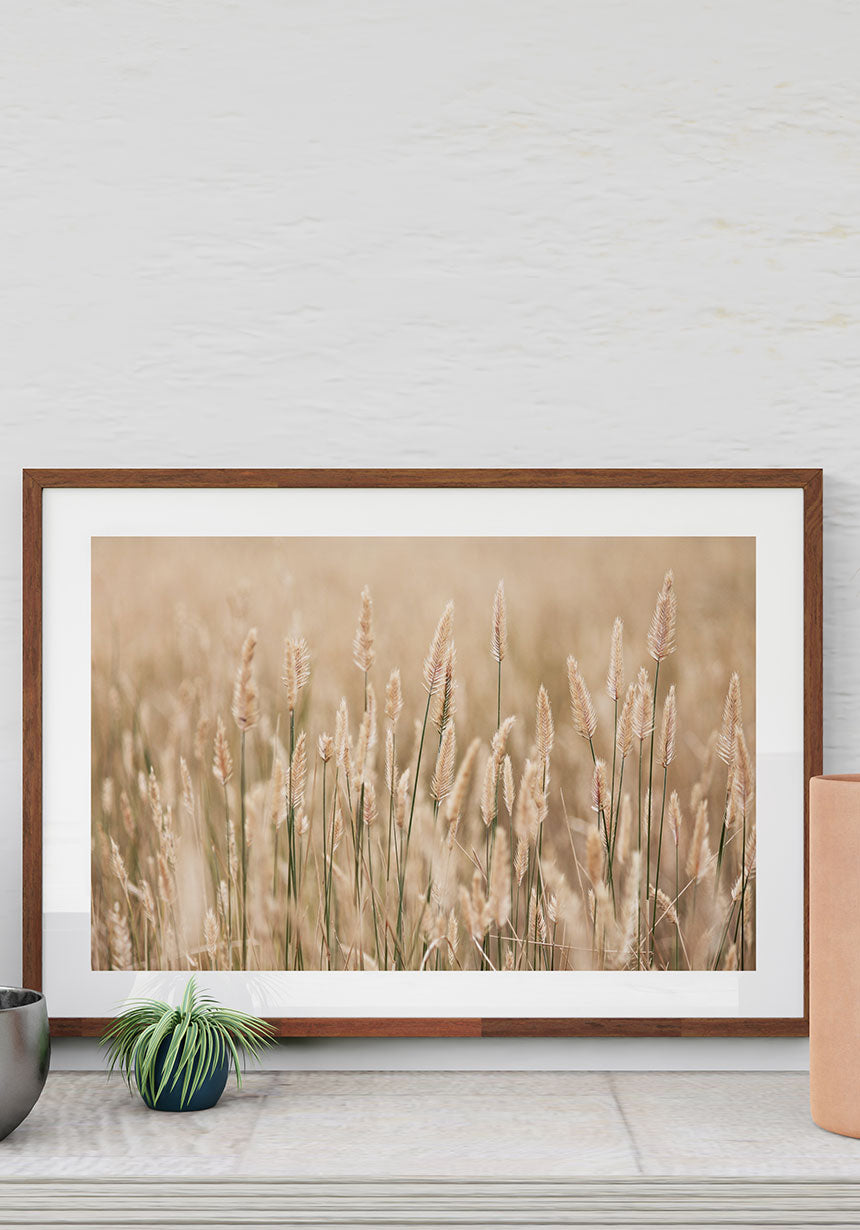 Fotografie Poster goldenes Weizenfeld an weißer Wand