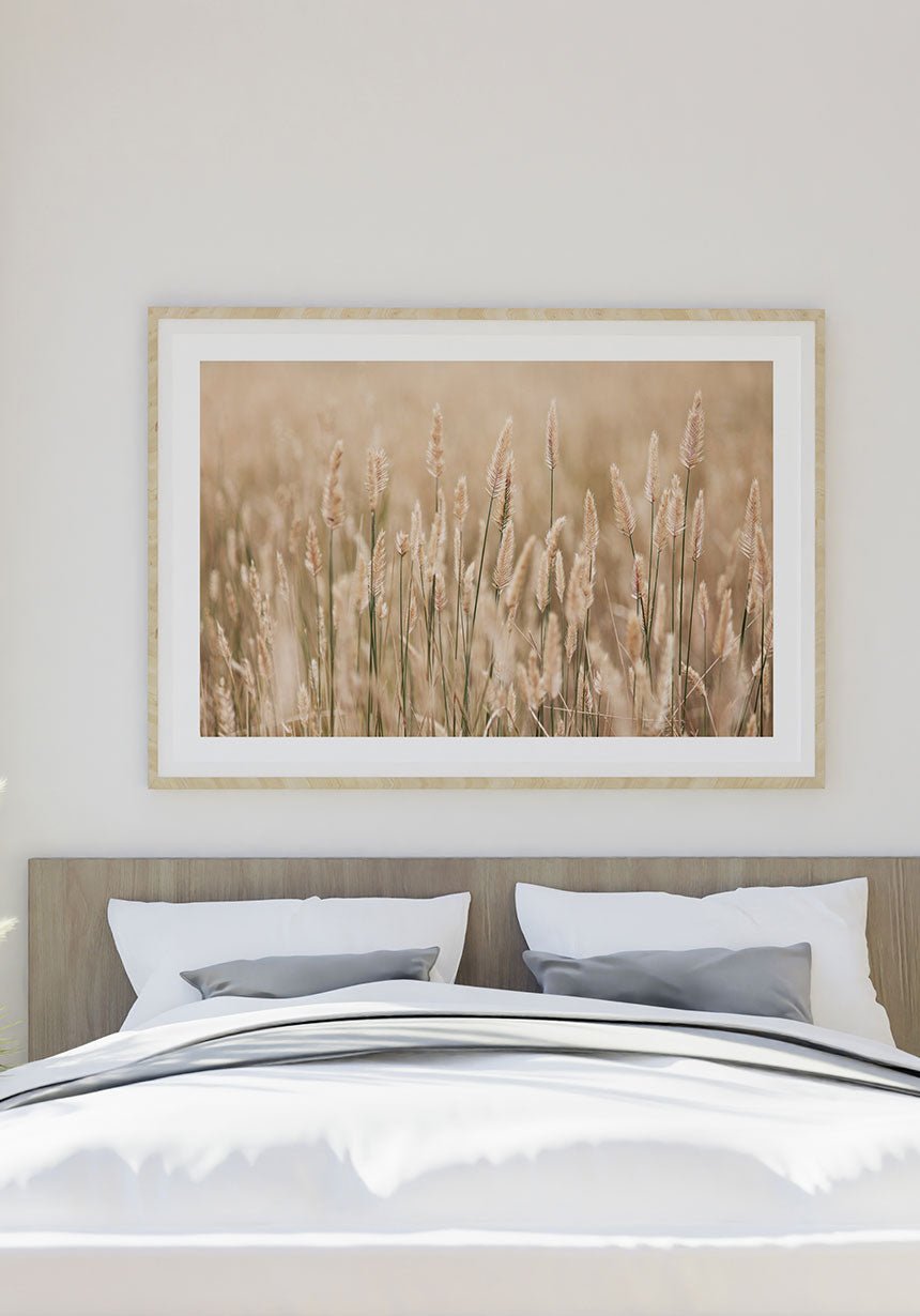 Fotografie Poster goldenes Weizenfeld über dem Bett