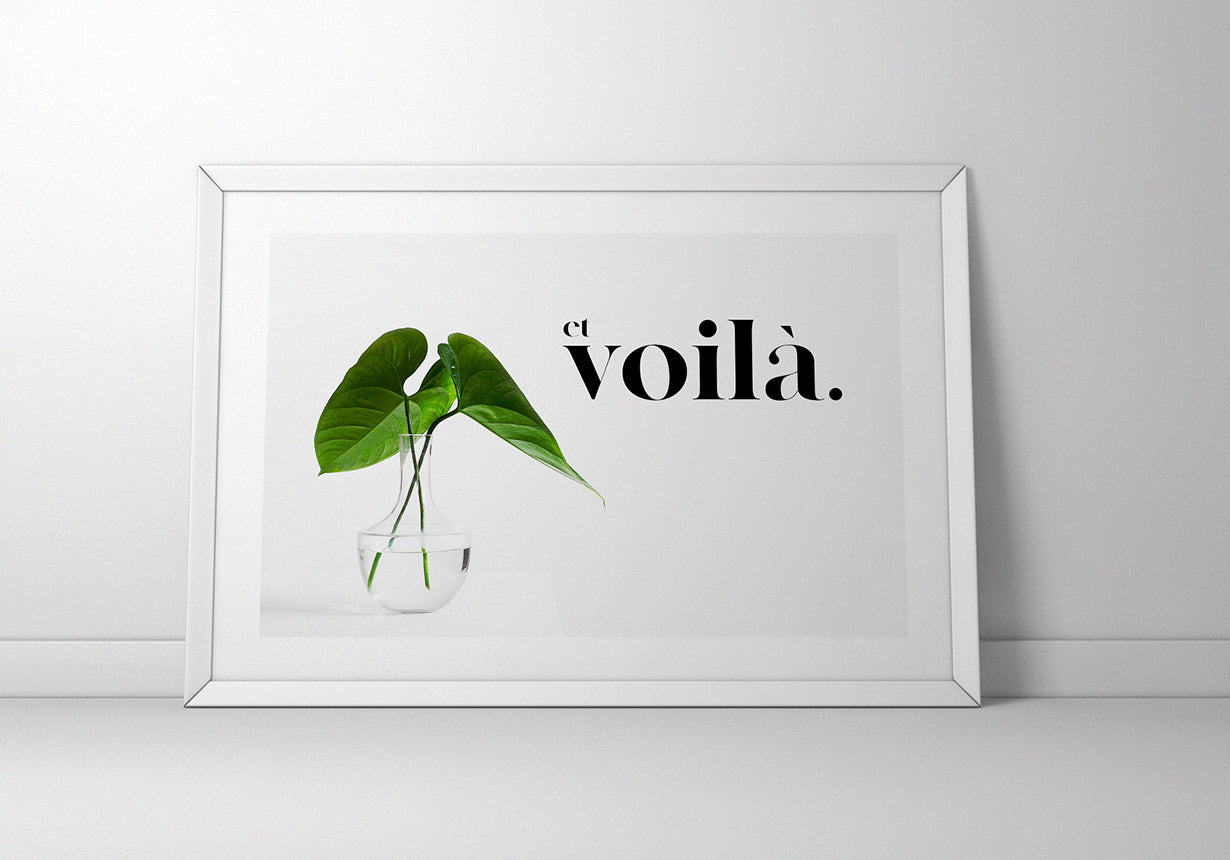 Poster Spruch et voila mit Pflanze an Wand