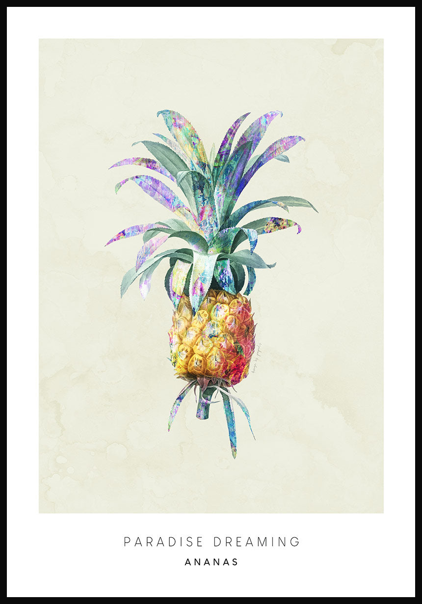 Poster Illustration Ananas