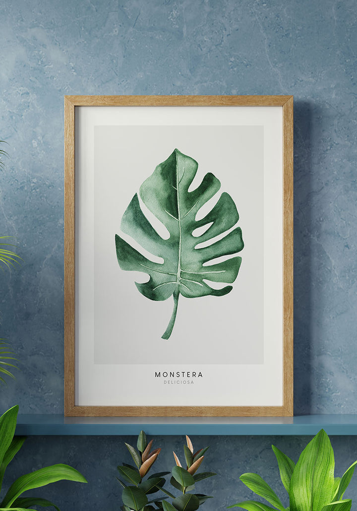 monstera gemalt Monstera Deliciosa Poster » online bestellen