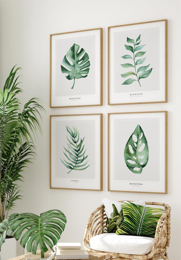 Monstera Deliciosa Poster » online bestellen
