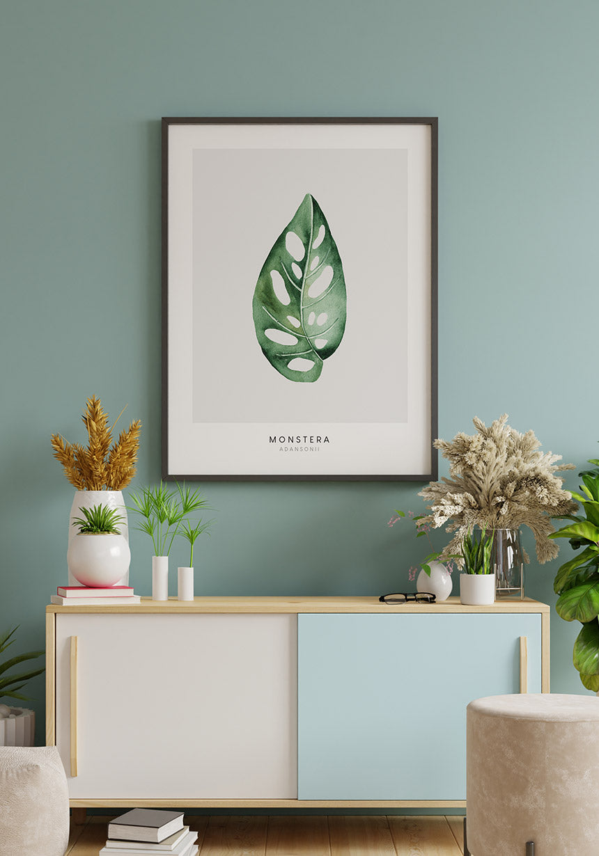 Poster Pflanze Monstera Adansonii  über Sideboard