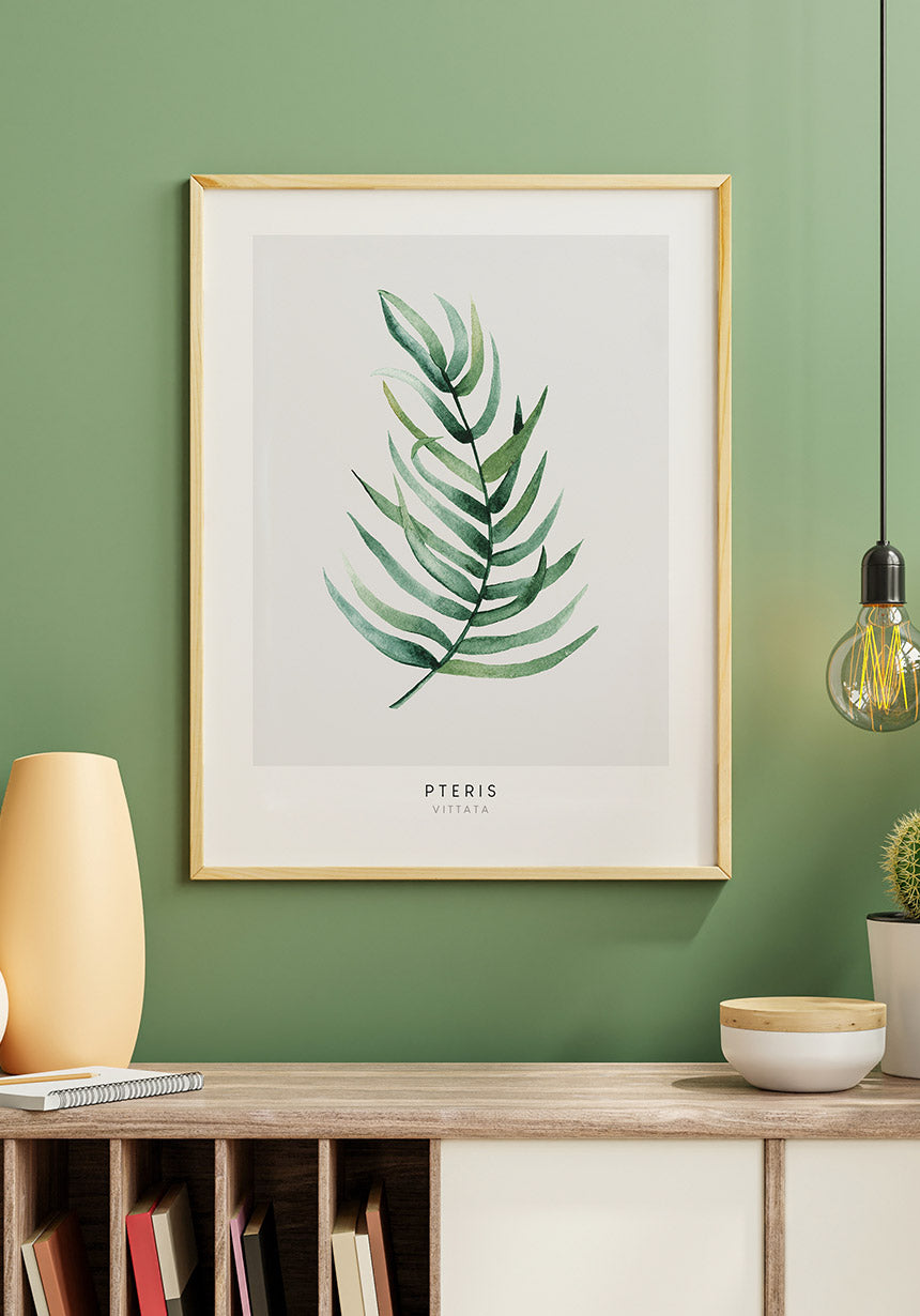 Poster Pteris Vittata Pflanze im Holzrahmen