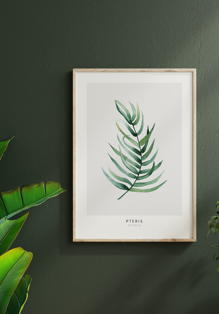 Poster Pteris Vittata Pflanze an grüner Wand