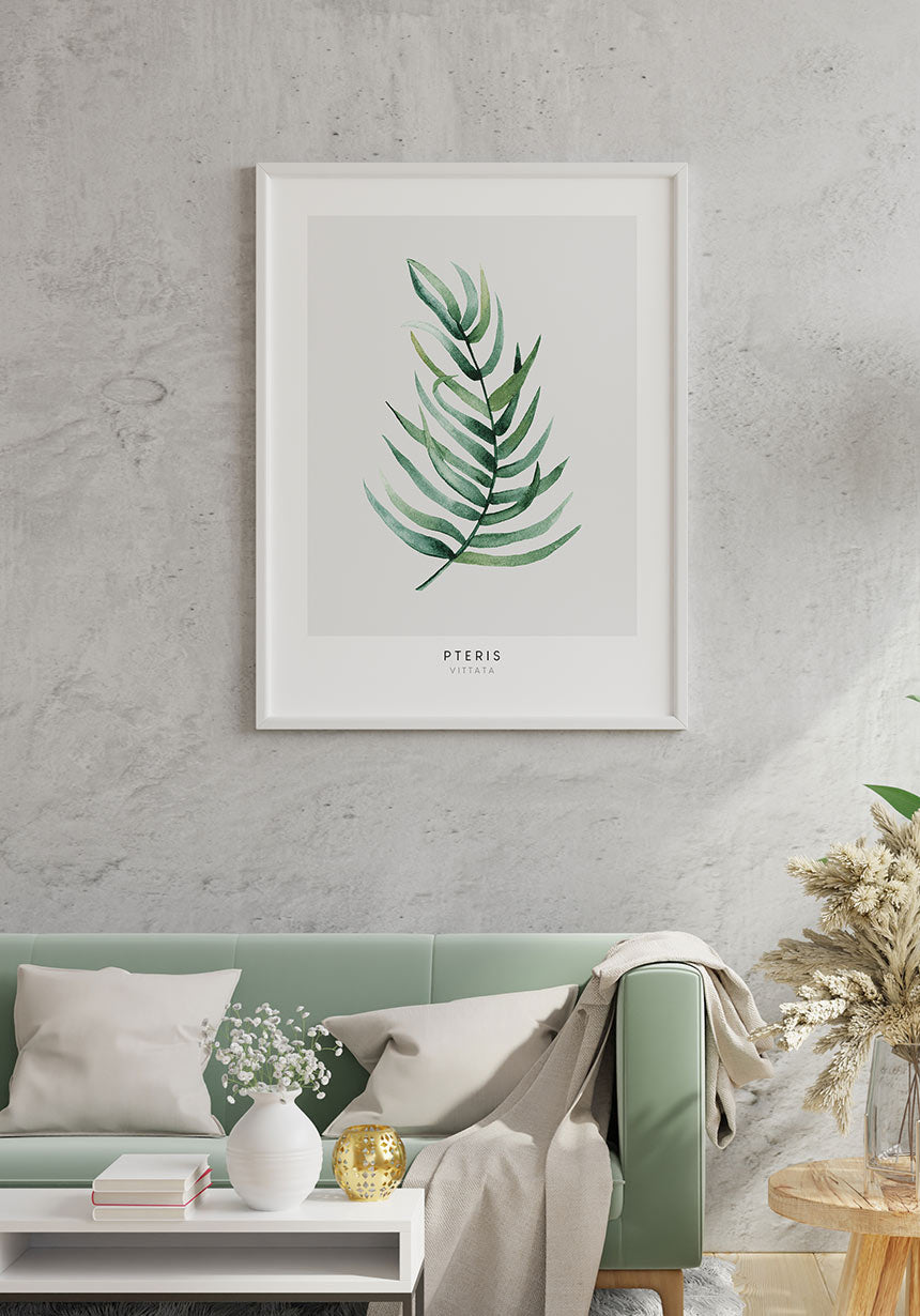 Poster Pteris Vittata Pflanze über dem Sofa