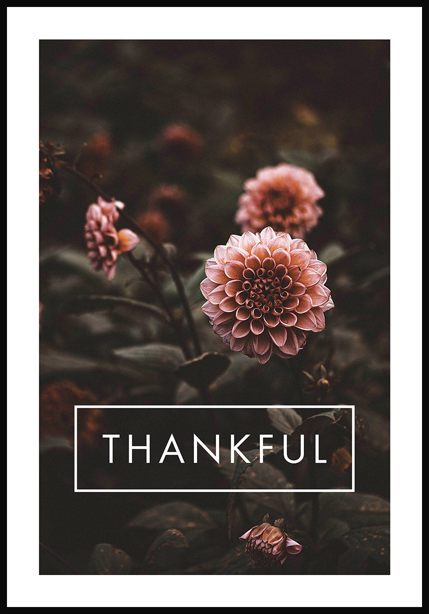 Thankful Poster mit Blumen